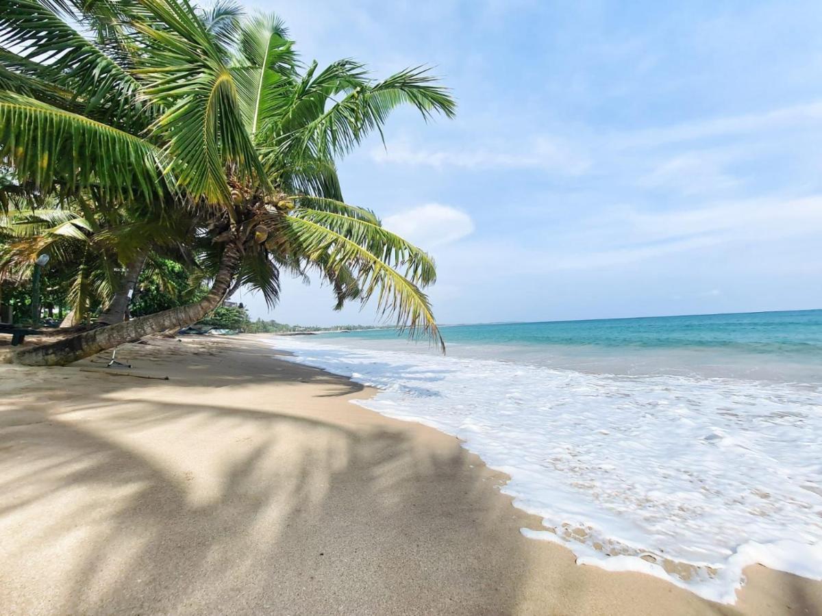 Frangipani Beach Villa Тангалле Екстер'єр фото